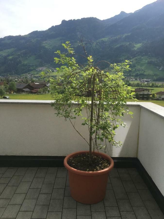 Ferienwohnung Walder Mayrhofen Extérieur photo